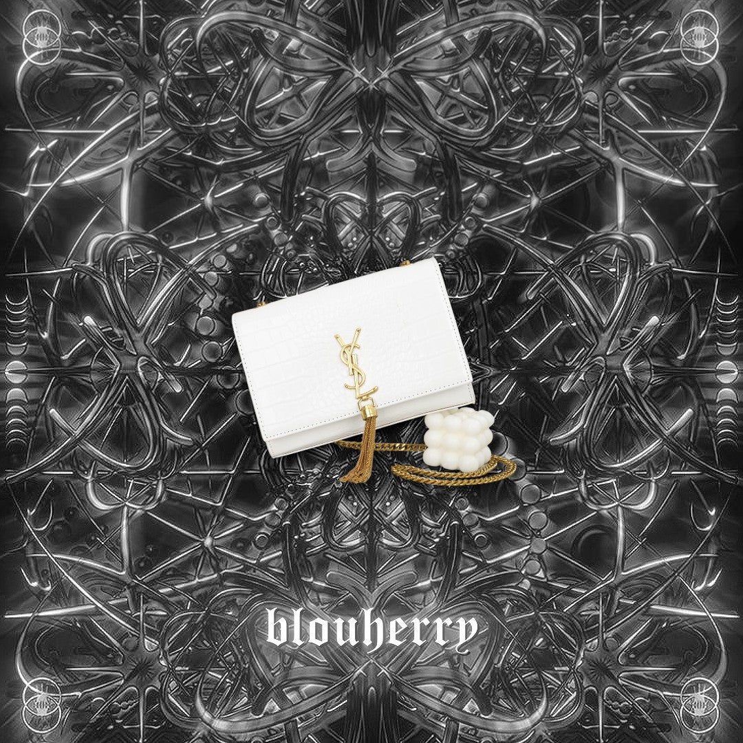 YSL Bag