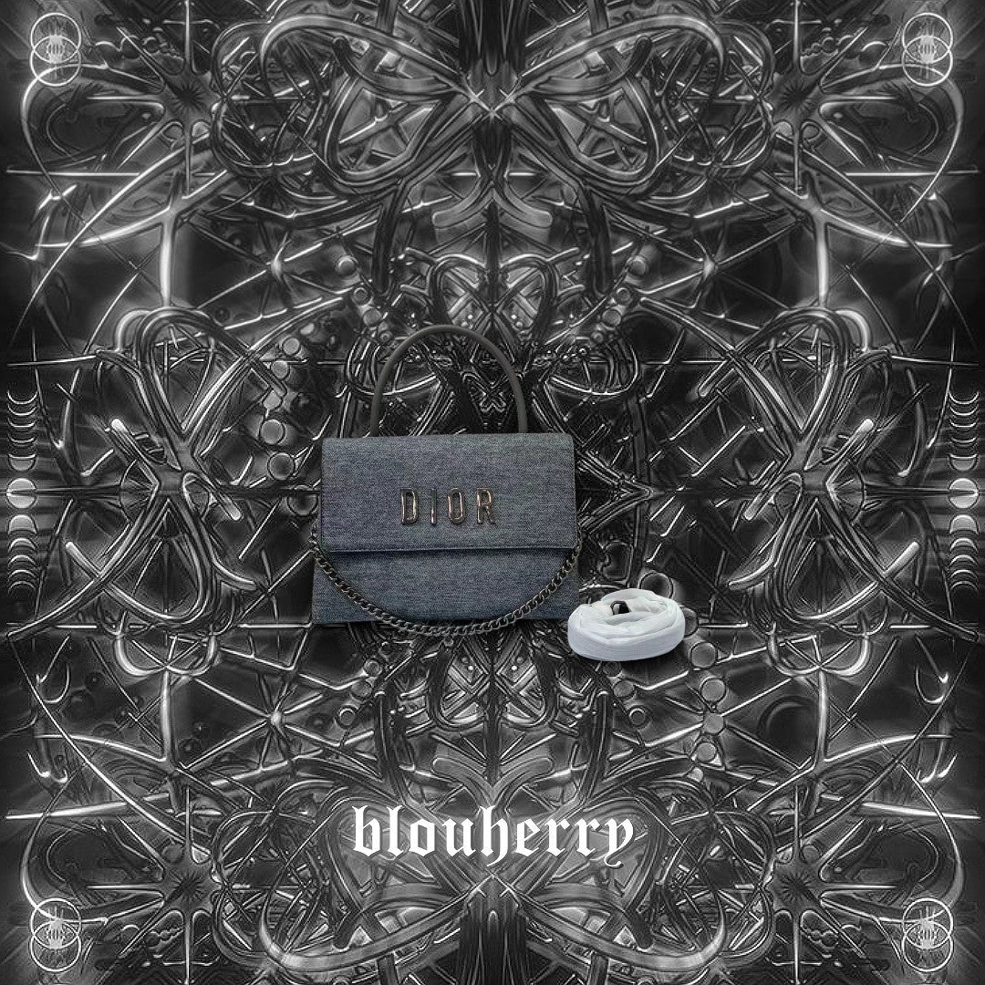 Dior Bag