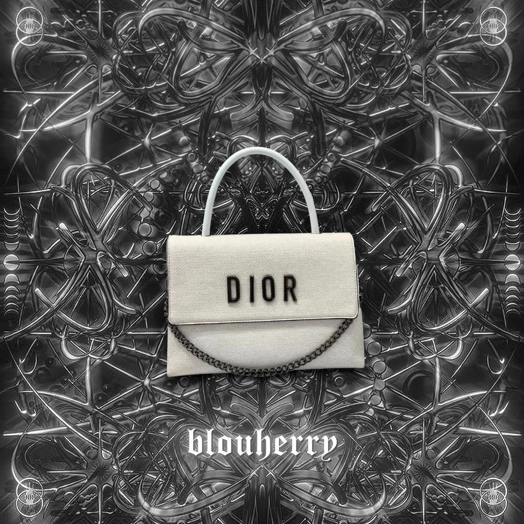 Dior Bag