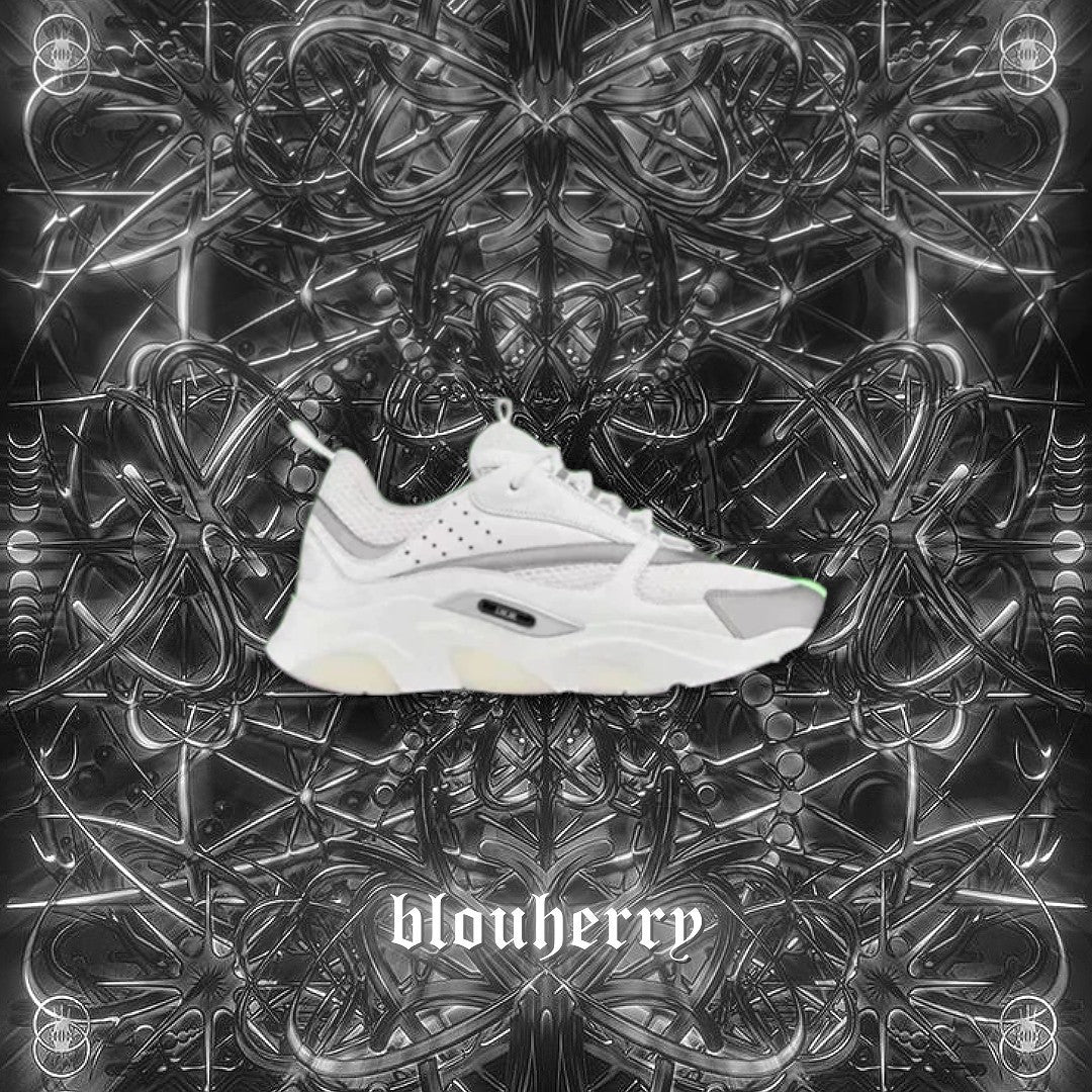 Dior b22