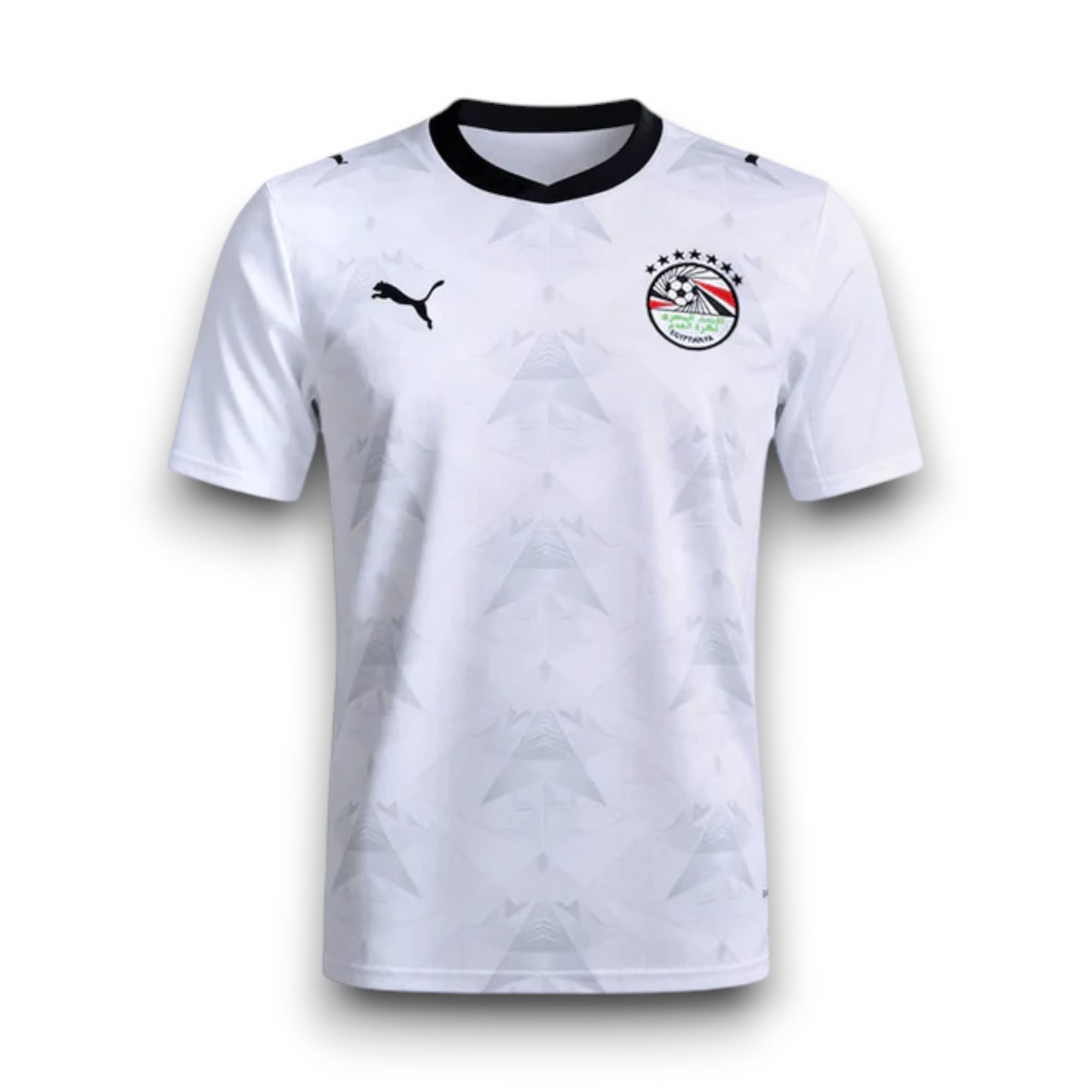 EGYPT 2026 WORLD CUP