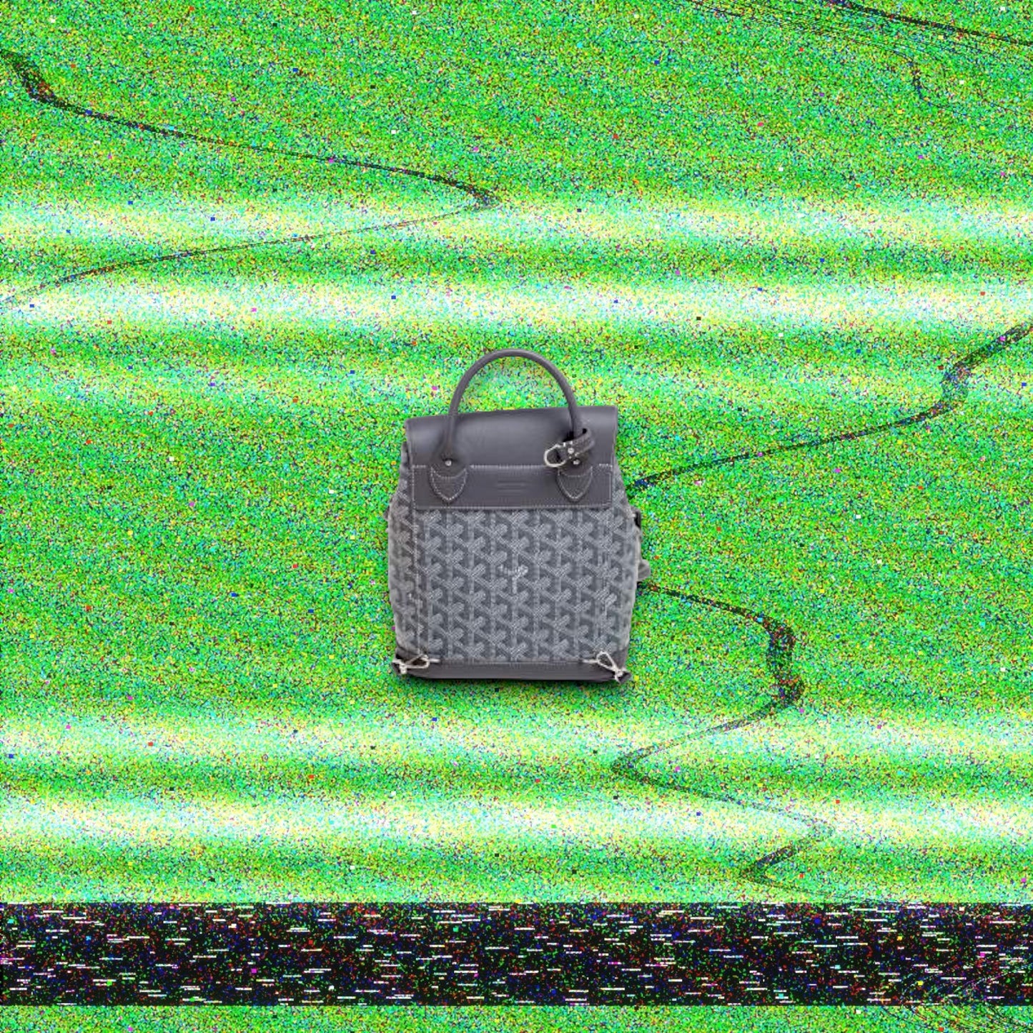 Goyard Bag