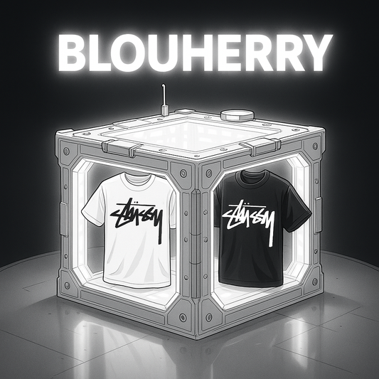 BLOUHERRY MYSTERY BOX STUSSY (T-shirt)
