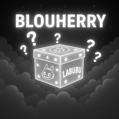LABUBU MYSTERY BOX