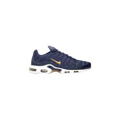Nike TN Air Max
