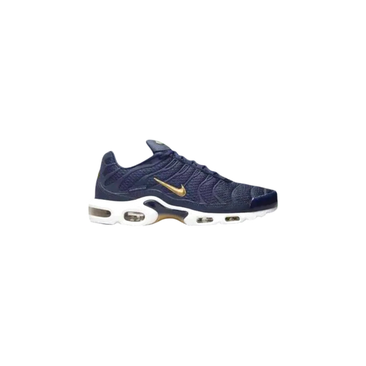 Nike TN Air Max