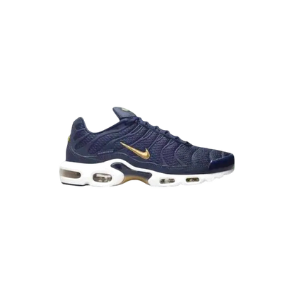 Nike TN Air Max