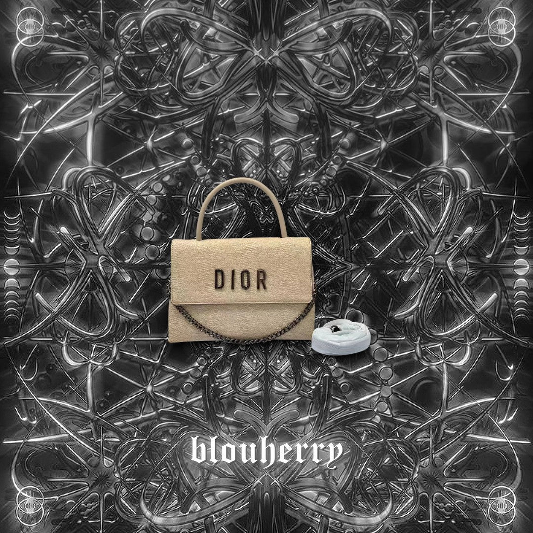 Dior Bag