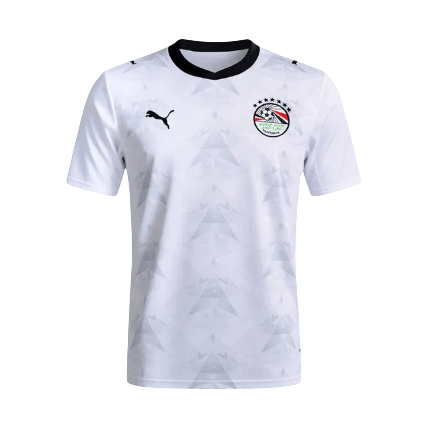 EGYPT 2026 WORLD CUP